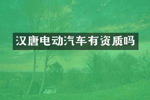 汉唐电动汽车有资质吗