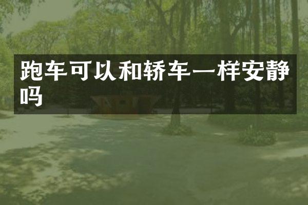 跑车可以和轿车一样安静吗