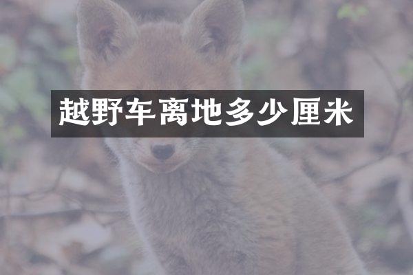越野车离地多少厘米