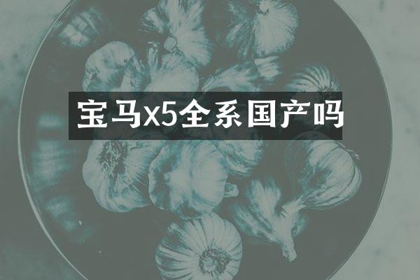 宝马x5全系国产吗
