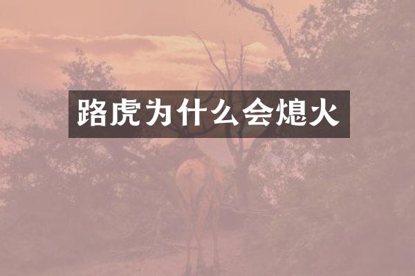 路虎为什么会熄火