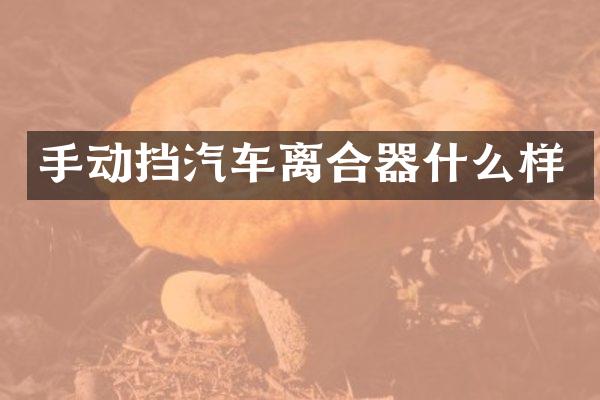 手动挡汽车离合器什么样