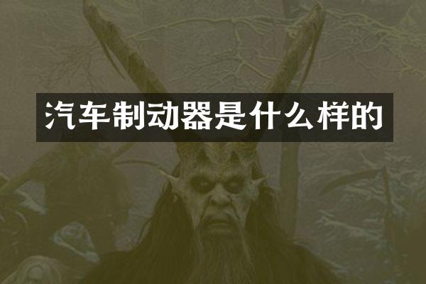 汽车制动器是什么样的