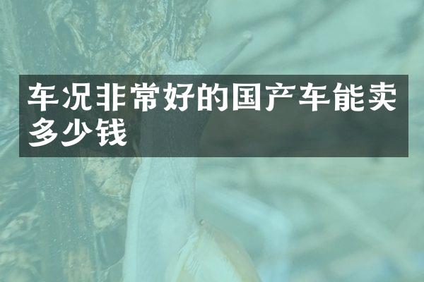 车况非常好的国产车能卖多少钱