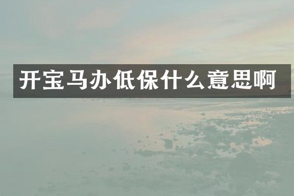 开宝马办低保什么意思啊