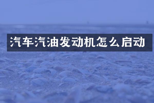 汽车汽油发动机怎么启动