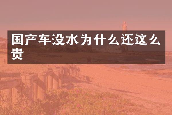 国产车没水为什么还这么贵