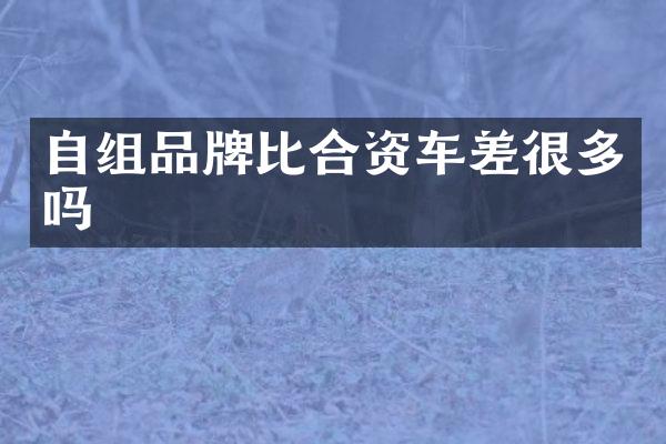 自组品牌比合资车差很多吗