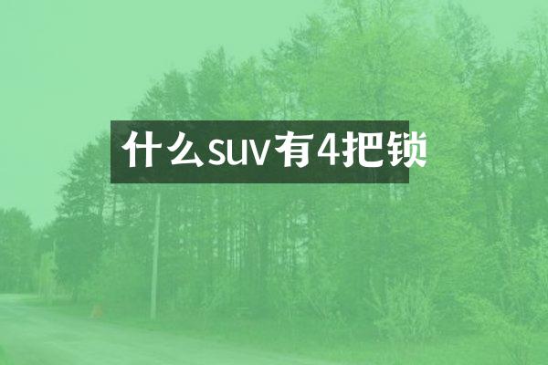 什么suv有4把锁