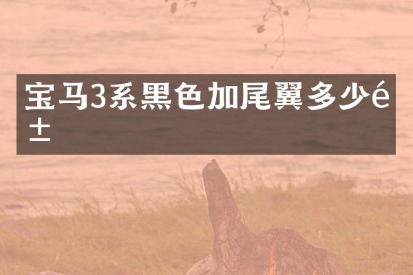 宝马3系黑色加尾翼多少钱