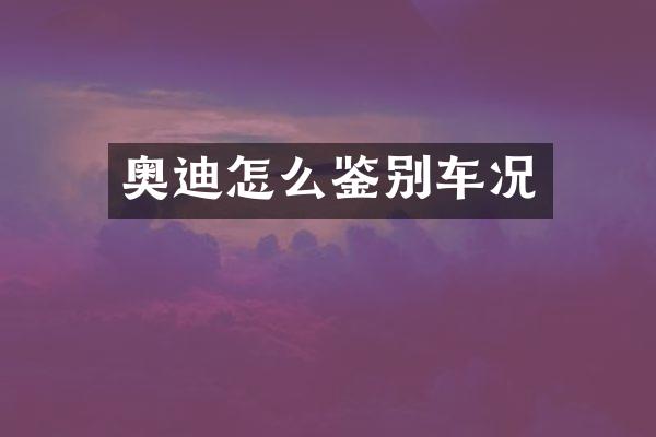 奥迪怎么鉴别车况