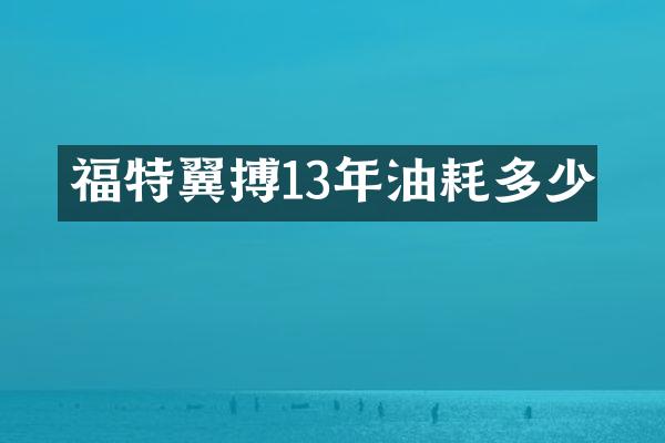 福特翼搏13年油耗多少