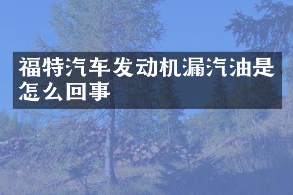 福特汽车发动机漏汽油是怎么回事