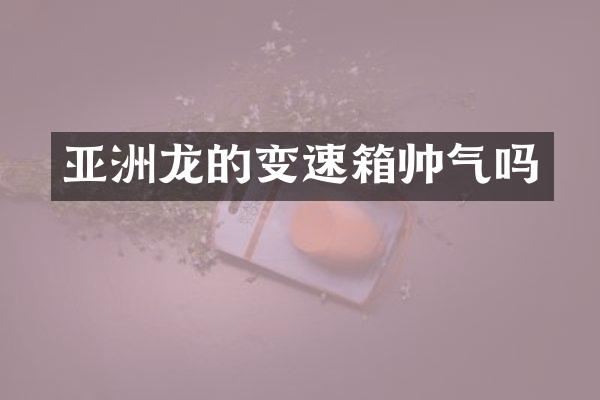 亚洲龙的变速箱帅气吗