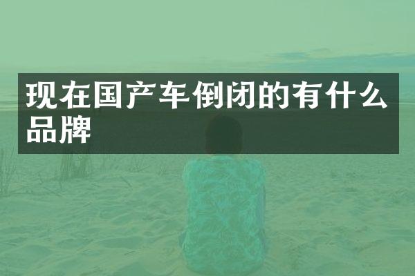 现在国产车倒闭的有什么品牌
