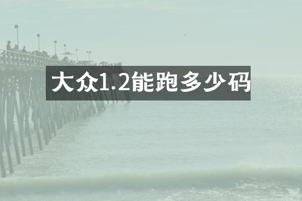 大众1.2能跑多少码