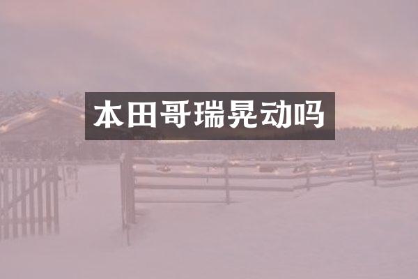本田哥瑞晃动吗