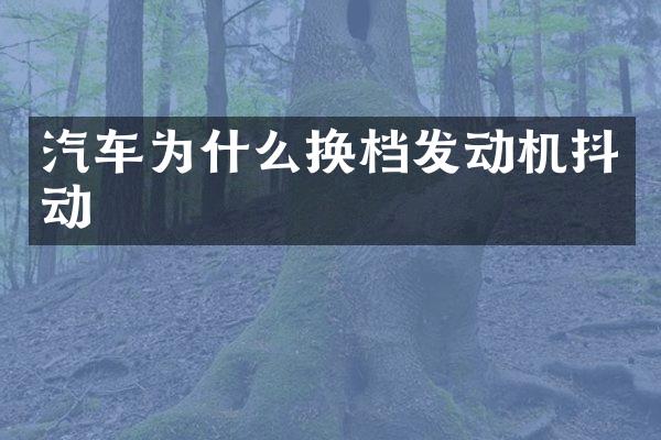 汽车为什么换档发动机抖动