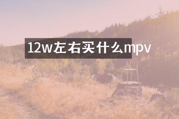 12w左右买什么mpv