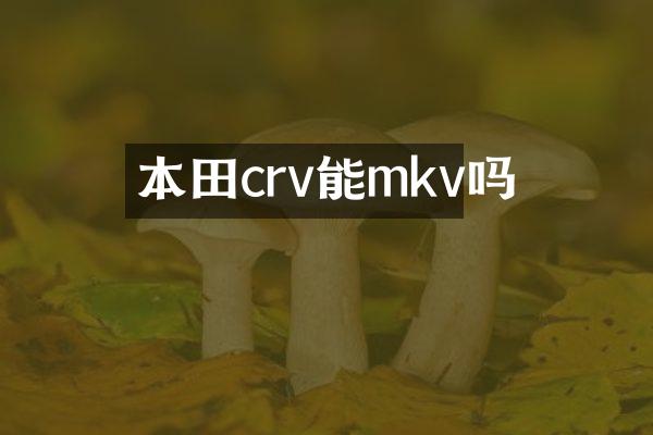 本田crv能mkv吗