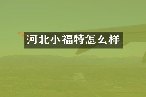 河北小福特怎么样