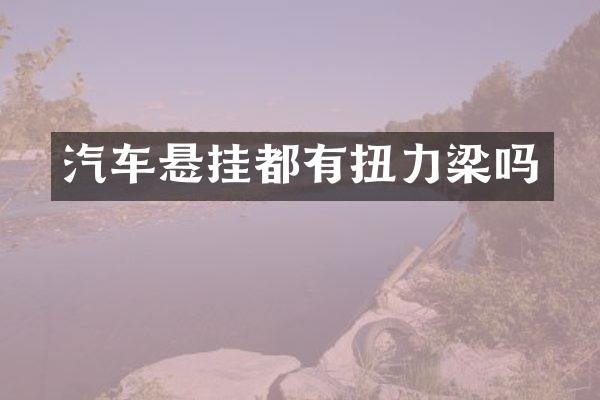 汽车悬挂都有扭力梁吗