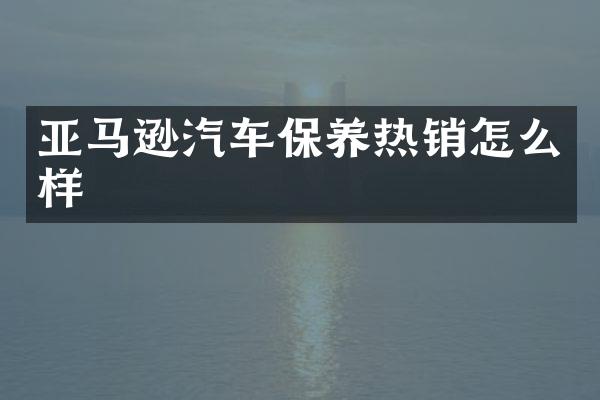 亚马逊汽车保养热销怎么样