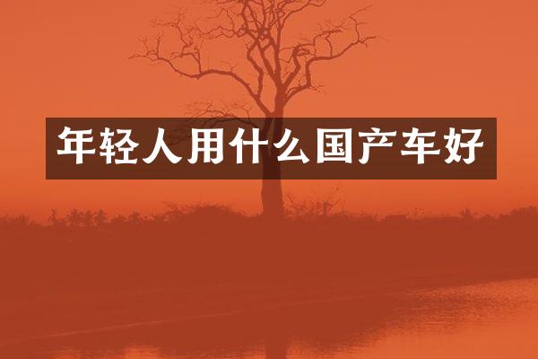 年轻人用什么国产车好