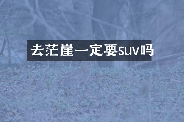 去茫崖一定要suv吗