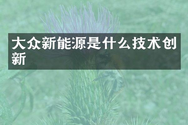 大众新能源是什么技术创新