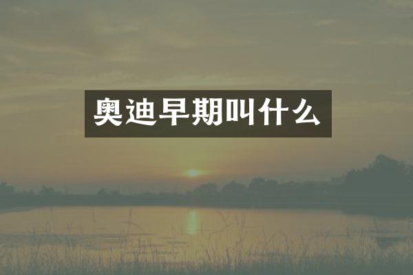 奥迪早期叫什么