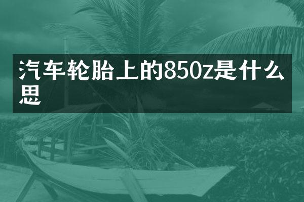 汽车轮胎上的850z是什么意思