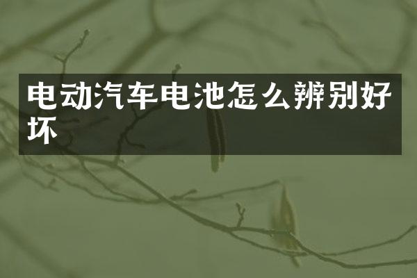 电动汽车电池怎么辨别好坏