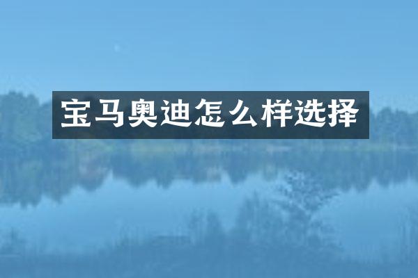 宝马奥迪怎么样选择