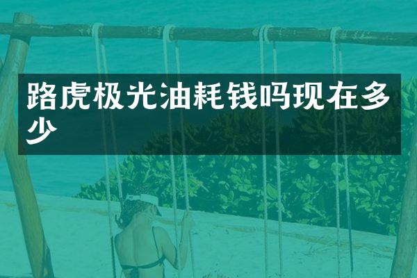 路虎极光油耗钱吗现在多少