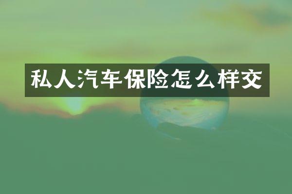 私人汽车保险怎么样交