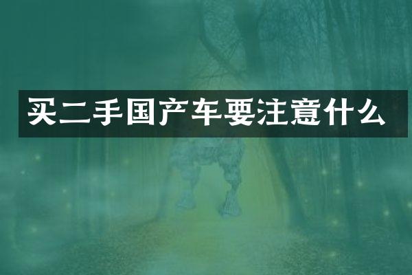 买二手国产车要注意什么