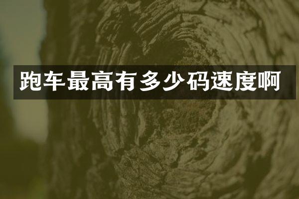 跑车最高有多少码速度啊