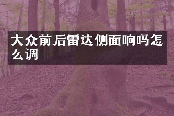大众前后雷达侧面响吗怎么调