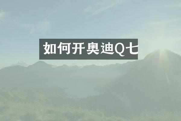 如何开奥迪Q七