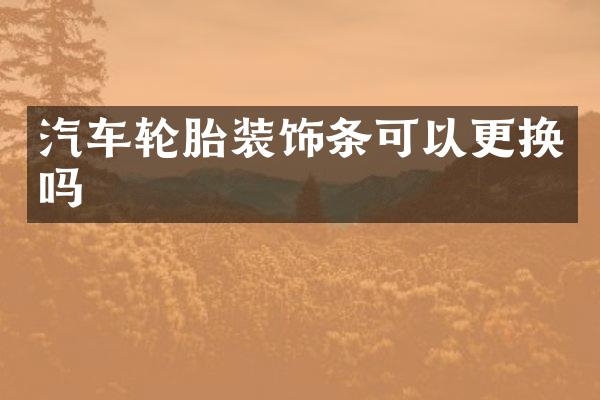 汽车轮胎装饰条可以更换吗