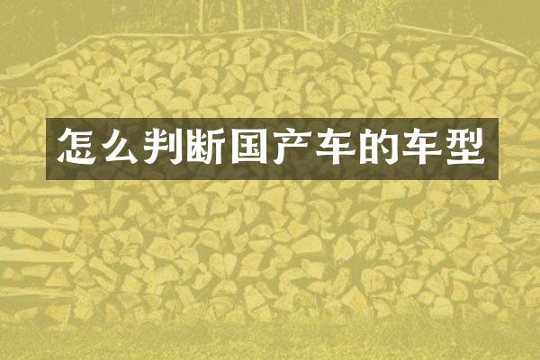 怎么判断国产车的车型