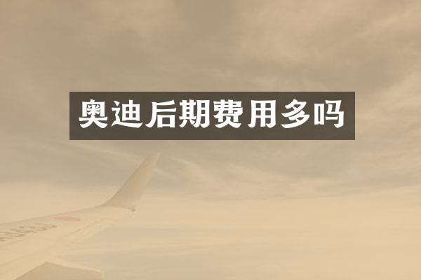 奥迪后期费用多吗