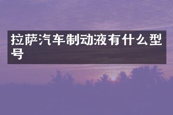 拉萨汽车制动液有什么型号