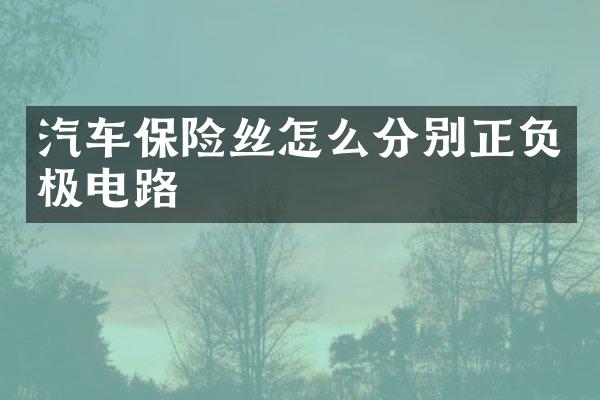 汽车保险丝怎么分别正负极电路