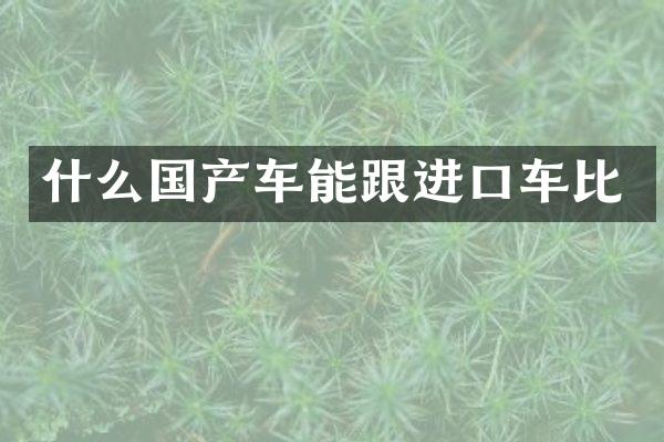 什么国产车能跟进口车比