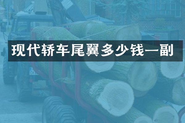 现代轿车尾翼多少钱一副