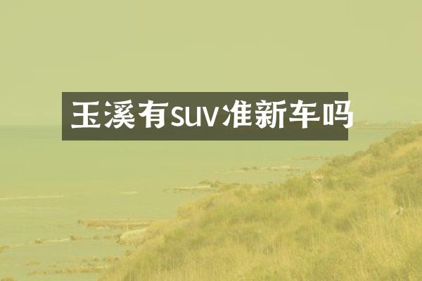 玉溪有suv准新车吗