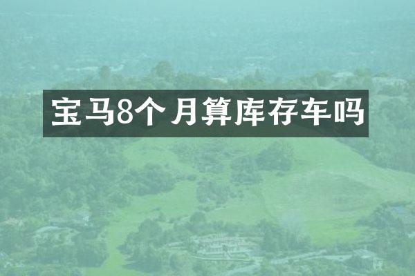 宝马8个月算库存车吗