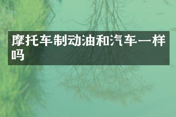 摩托车制动油和汽车一样吗